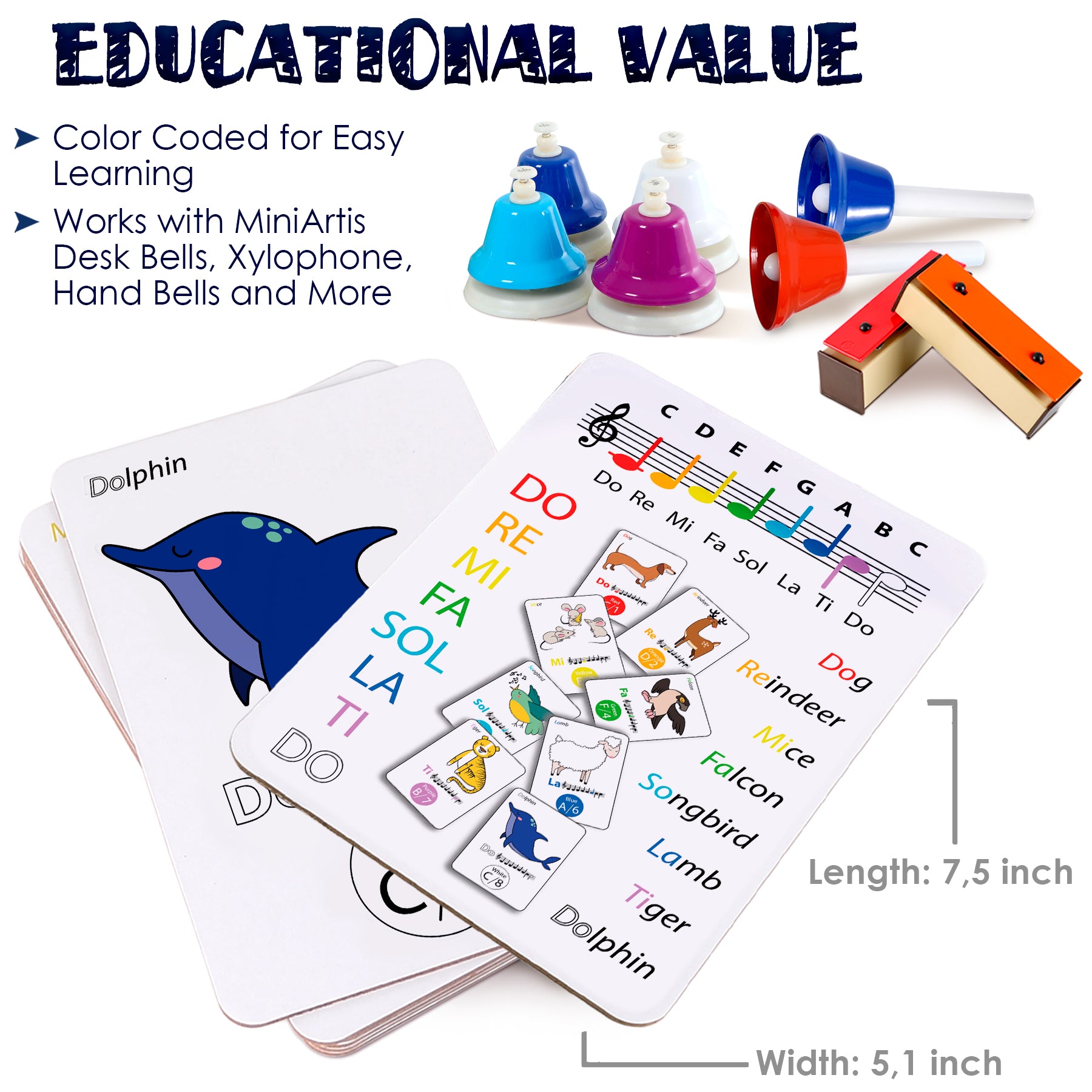 Melody Explorer Flashcards Color-Coded Music Note Theory for Kids